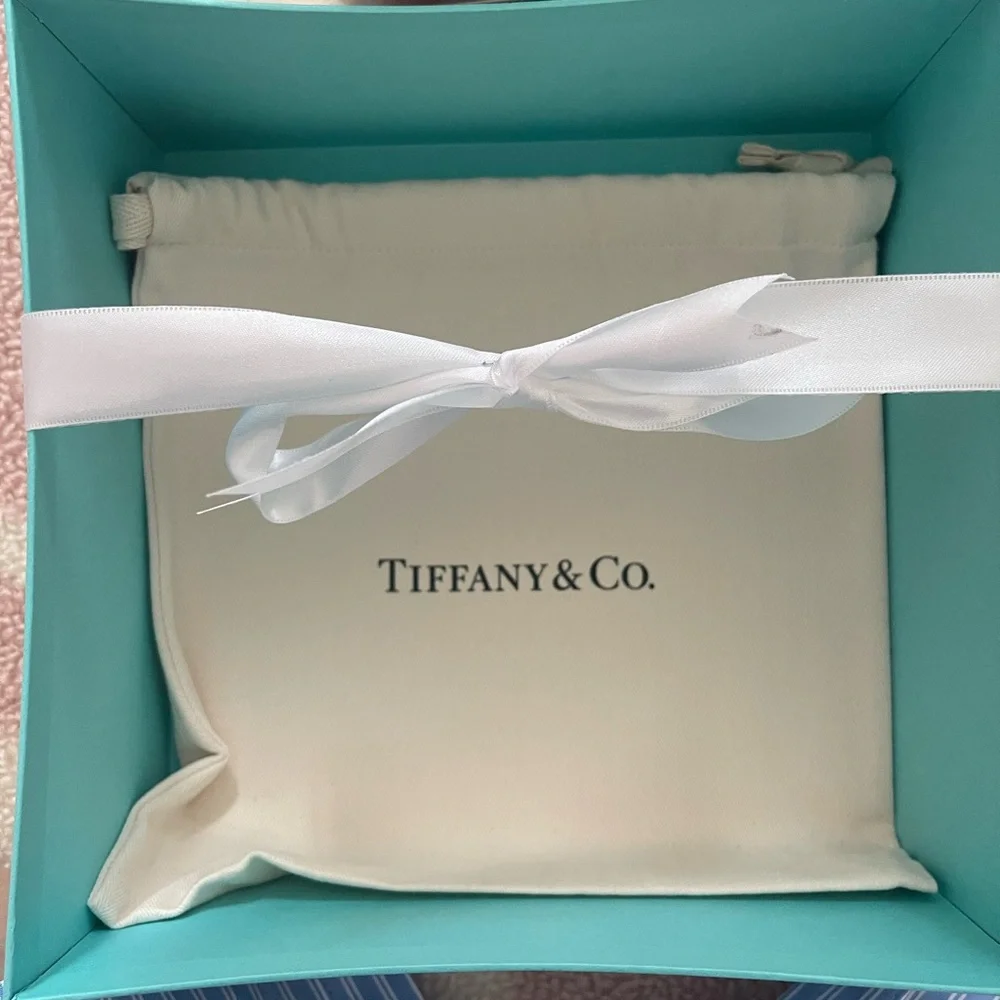 SOLD Tiffany & Co. Pale Pink Leather Mini Bag with Heart Charm Chain - Picture 9 of 10